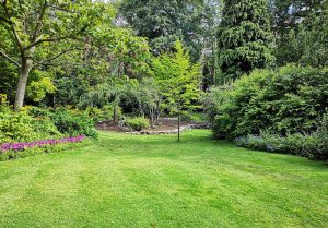 Optimiser l'expérience du jardin à Rothonay